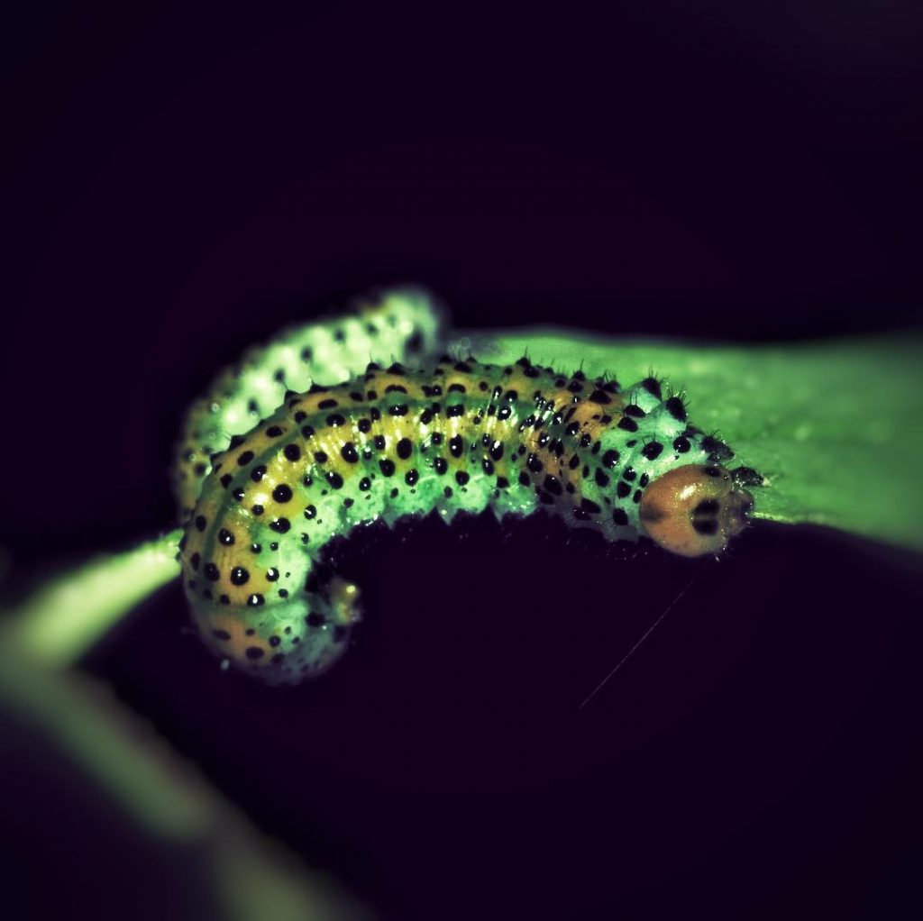 #fotoartistiche #bnesimppl #fotartplgz #pierluigizag Edited with: @carbonblackandwhite _ #weather #skylovers #natureporn #amazing #skypainters #gf_daily&hellip;