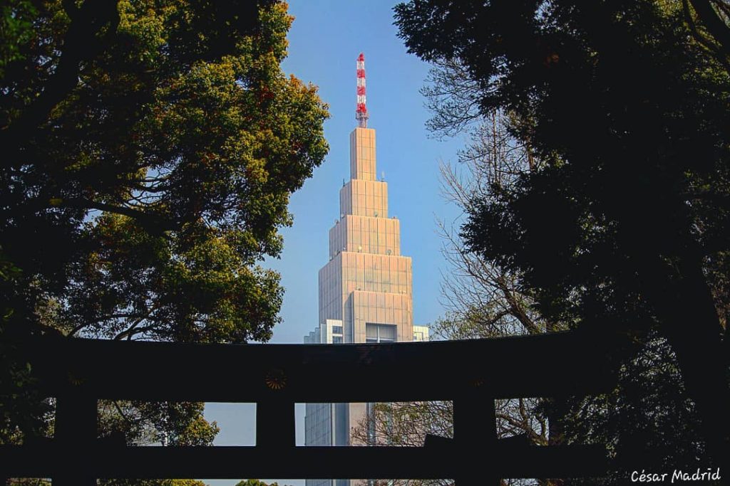 #world #tokyo #tokyo #japan #city #photography #amateurphotography #canon #canonphotography #travelling #travelphotography #travel #travelblogger #trees&hellip;