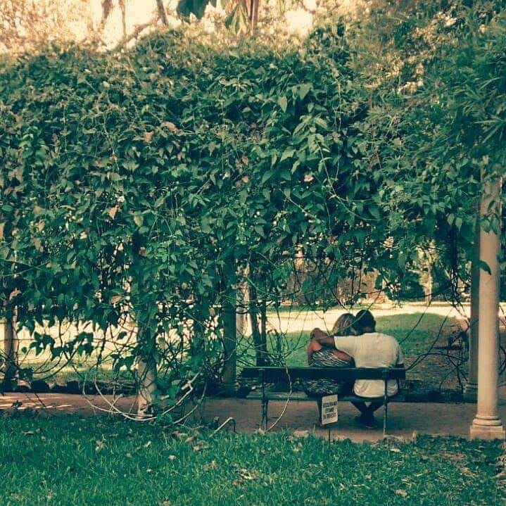 Nada melhor que um passeio no @jardimbotanicorj ao lado de quem vc ama. .&hellip;