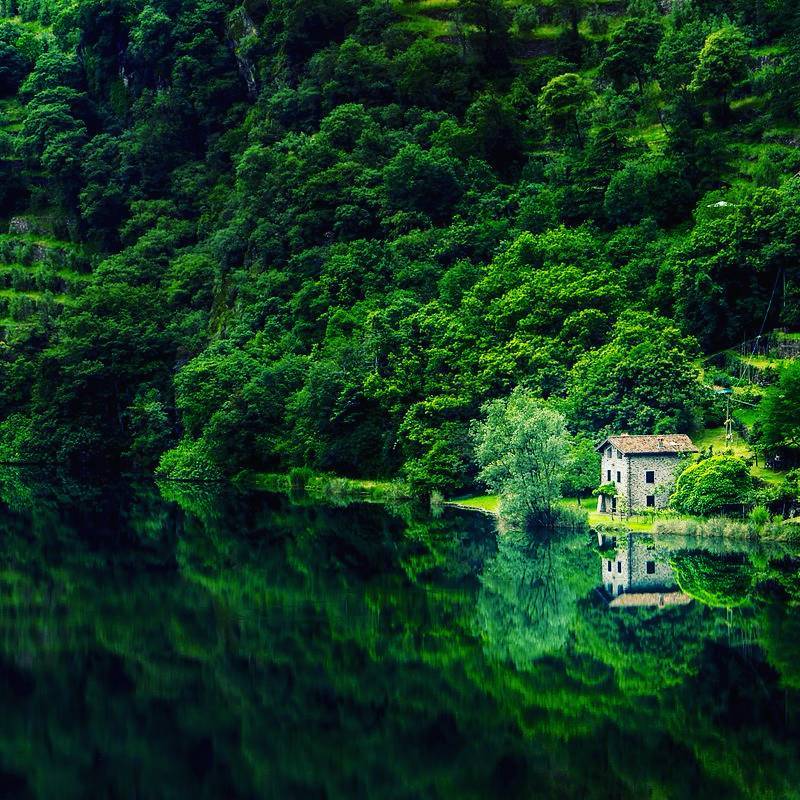 #valcamonica #valcamonicalovers #valcamonica???????? #lombardia #travel #travelblogger #travelgram #traveller #nature #natureitaly #tourism @valcamonica_in_treno @italynature_