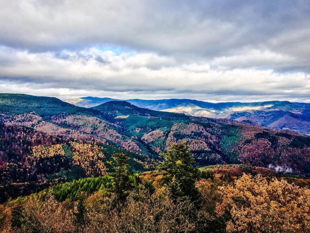 ???????? Quand t’es en examens alors que tu pourrais être Take me back