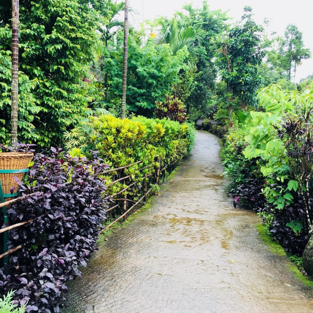 Mawlynnong is such a beautiful place for those who love Nature and Greenery. .&hellip;