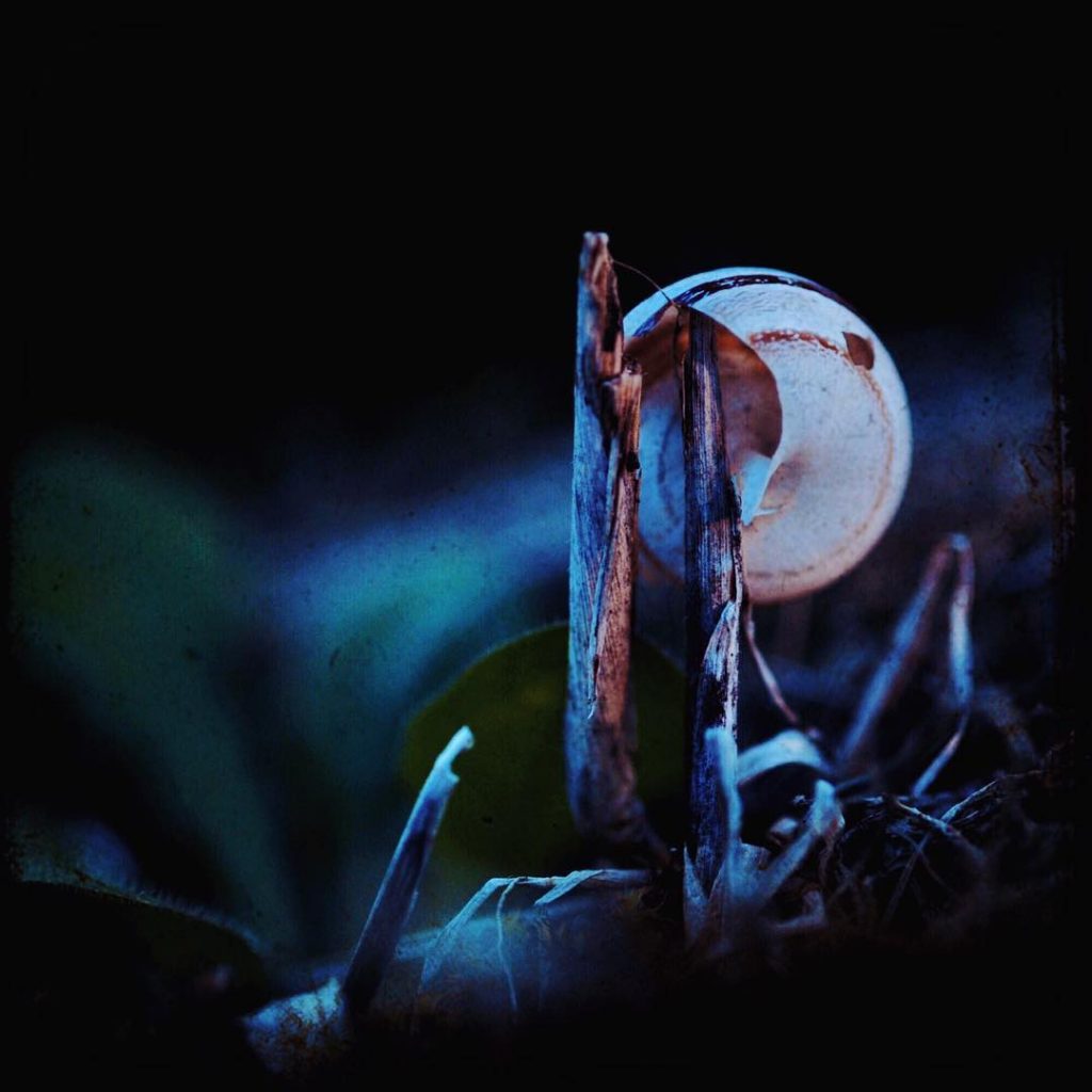 #fotoartistiche #bnesimppl #fotartplgz #pierluigizag Edited with: @carbonblackandwhite _ #weather #skylovers #natureporn #amazing #skypainters #gf_daily&hellip;