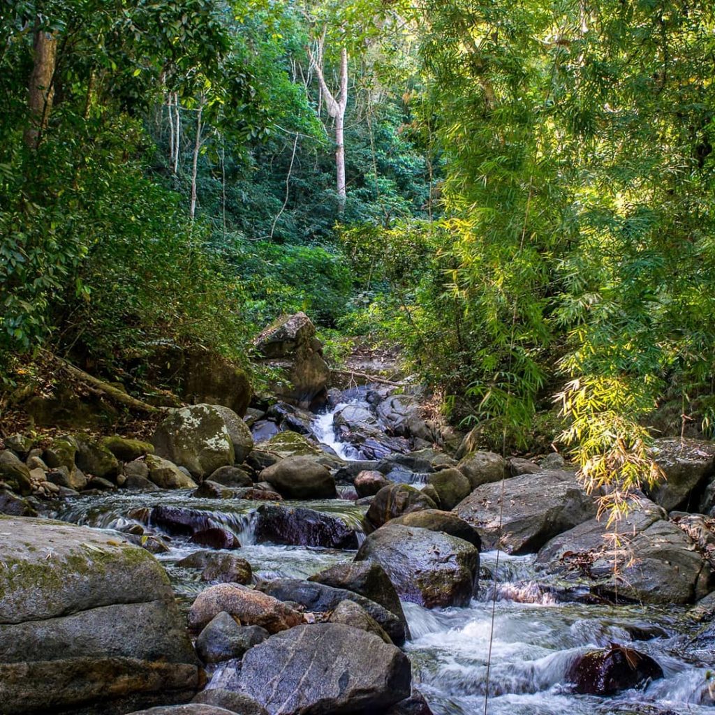 Beauty of Sierra Nevada de Santa Marta #colombia #sierra_nevada #santamarta #nature_perfection #naturereserve #waterfall #mountains&hellip;