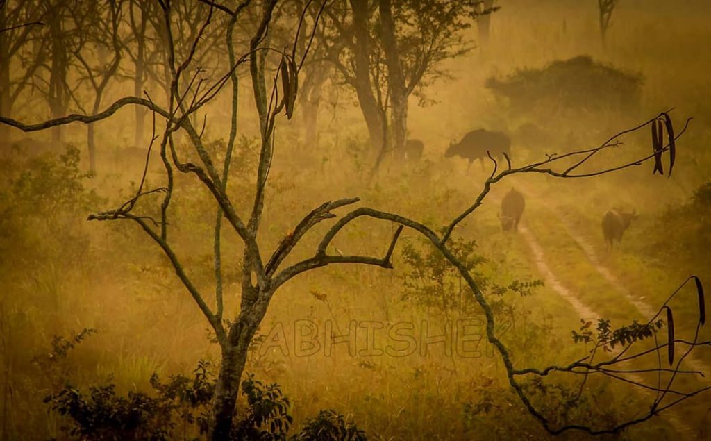 #incredibleindia #loanlyplanettravellermagazine #natgeo #natgeoyourshot #landscape #landscapephotography #mobileclicks #natgeotravellerindia #phodus_competition#@ #oph #photographer_of_india #india_undiscovered #india_pictures #myhallaphoto&hellip;