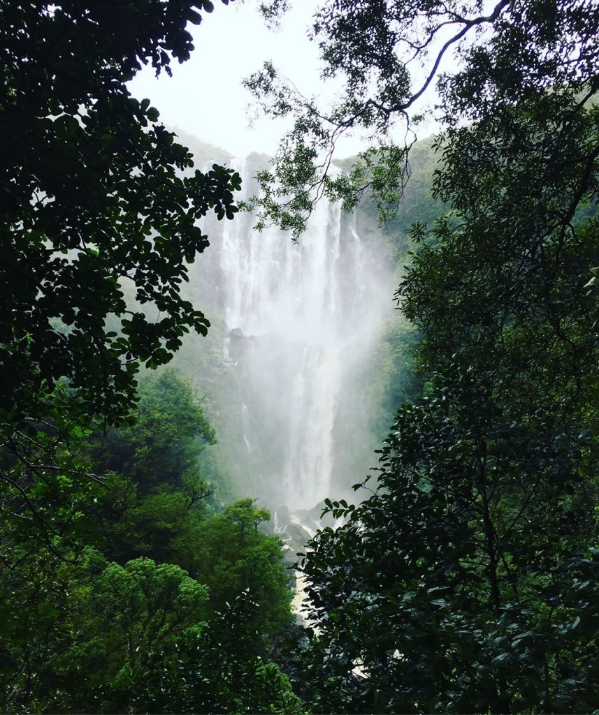 Wairere Falls, New Zealand #csmidlifegapyear #memories #travel #travelblogger #travelbug #tbt #photo #adventure #amemoryaday #photooftheday&hellip;