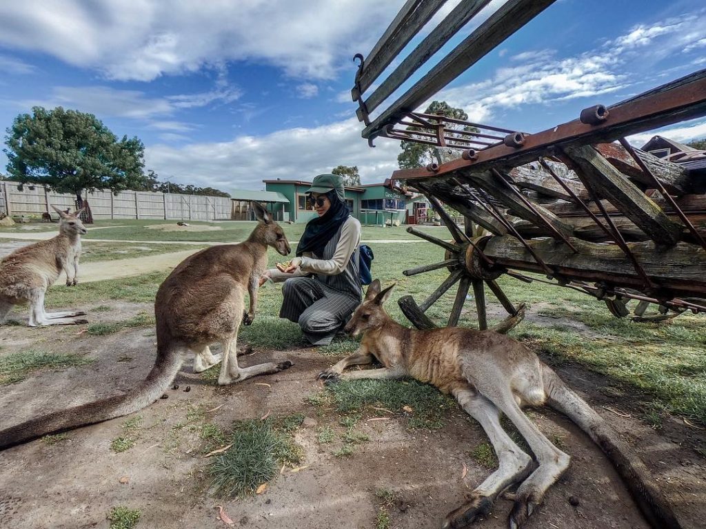 ‎وَمَن يَتَّقِ اللَّهَ يَجعَل لَهُ مِن أَمرِهِ يُسرًا ‎ #GoPro #Hero7Black