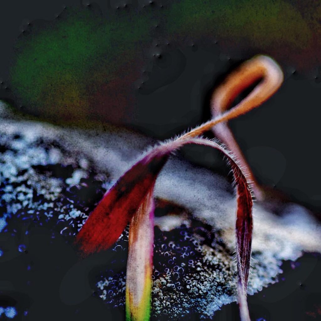 #fotoartistiche #bnesimppl #fotartplgz #pierluigizag Edited with: @carbonblackandwhite _ #weather #skylovers #natureporn #amazing #skypainters #gf_daily&hellip;