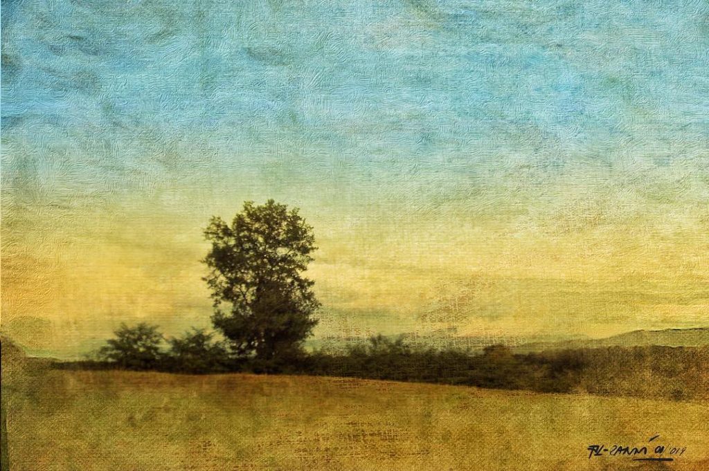 #bnesimppl #fotartplgz #pierluigizag Edited with: @carbonblackandwhite _ #landscape #amazing #view #trip #tree #sky #mountains&hellip;