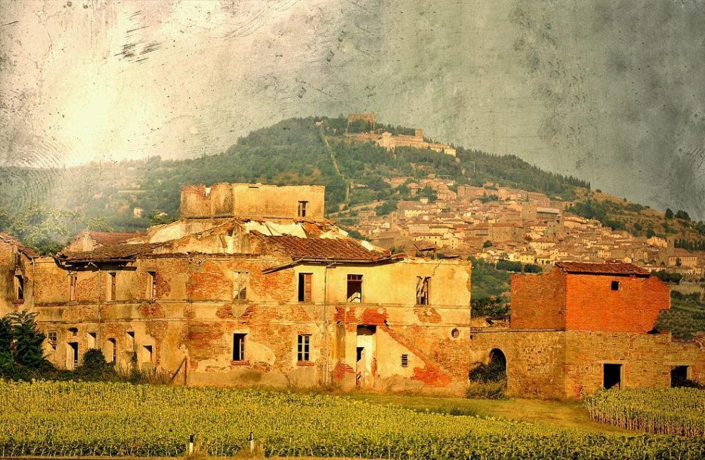 #fotoartistiche #valdichiana #bnesimppl #fotartplgz #pierluigizag Edited with: @carbonblackandwhite _ #landscape #amazing #view #trip #tree&hellip;