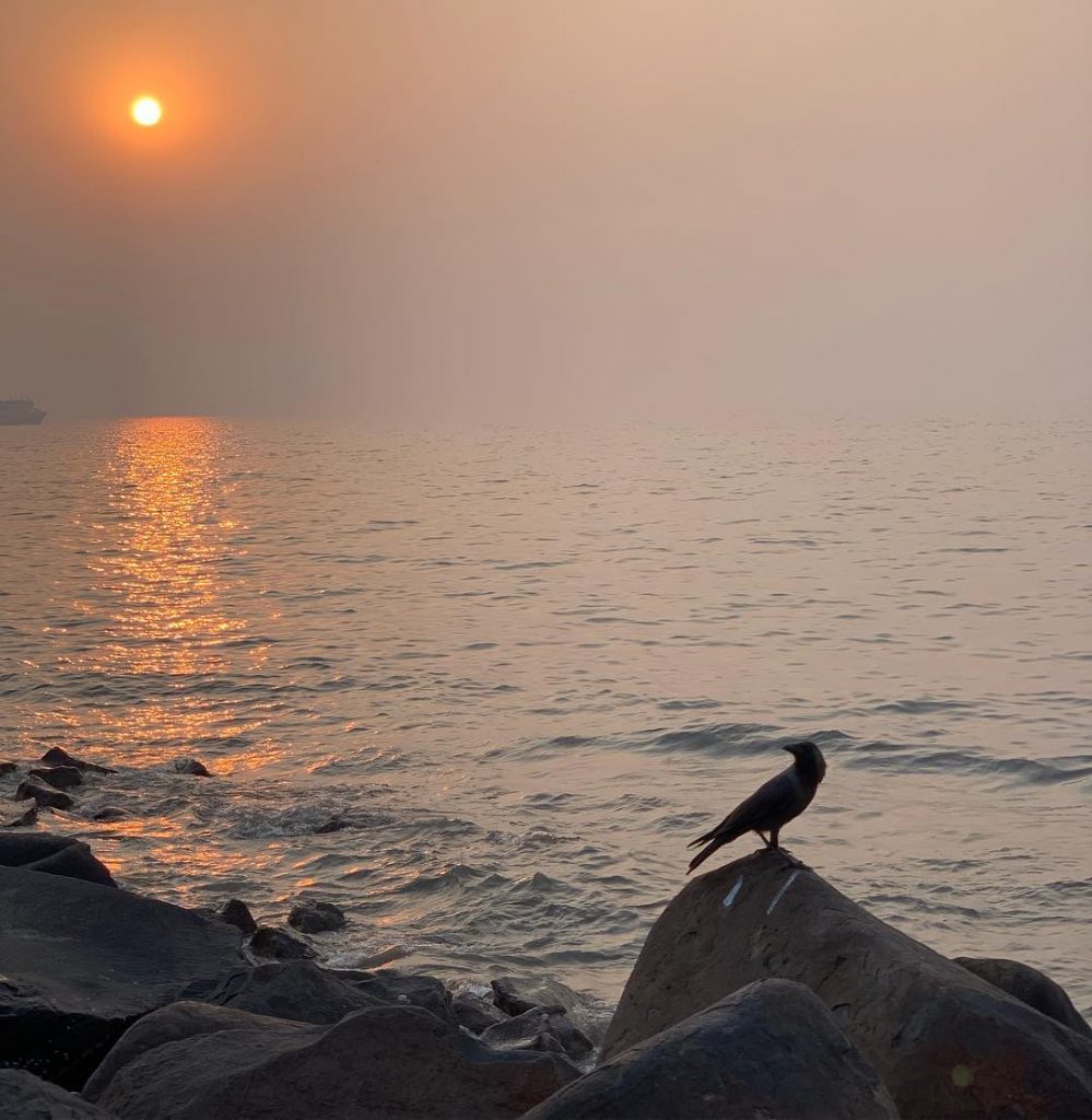 A sunset view for y’all at Band Stand Bandra! #bandstand #mumbai #mumbaitravel #sunset #sunsetshots&hellip;