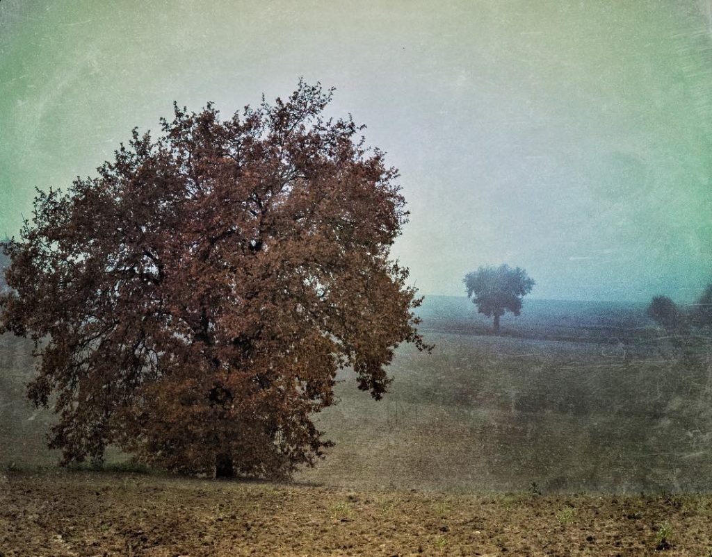 #fotoartistiche #bnesimppl #fotartplgz #pierluigizag #valdichiana Edited with: @carbonblackandwhite _ #weather #skylovers #natureporn #amazing #skypainters&hellip;