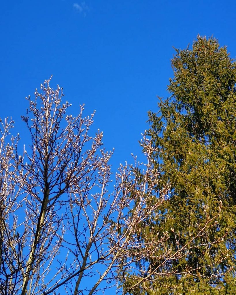 #casaAra #home #casa #acasa #athome #casadolcecasa #homesweethome #homeiseverywhere #home_ #rsa_home #tv_home #nothingisordinary #nothingisordinary_ #tv_pointofview&hellip;