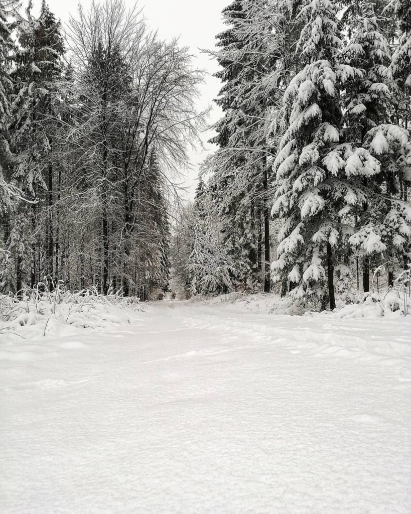 #beautiful view. #the_mobile_gallery #bnesimppl #pic #picoftheday #photo #photooftheday #winter #chilling #instagood #streetphotography #snow #tree…