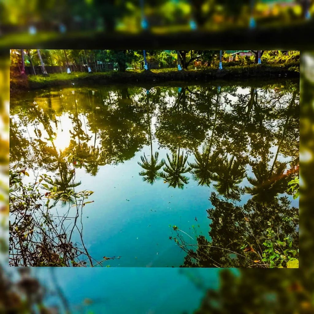 Nature always wears the colors of the spirit. – Ralph Waldo Emerson #nature #mothernature&hellip;