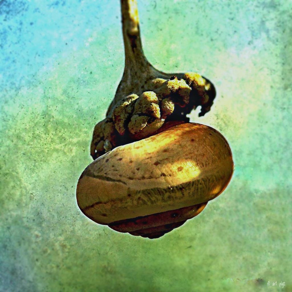 #fotoartistiche #bnesimppl #fotartplgz #pierluigizag Edited with: @carbonblackandwhite _ #weather #skylovers #natureporn #amazing #skypainters #gf_daily&hellip;