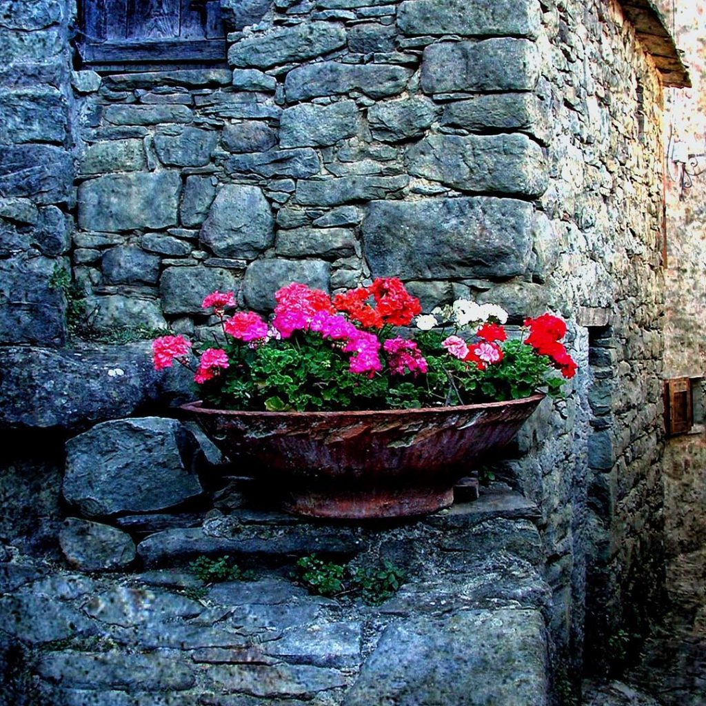 #fotoartistiche #bnesimppl #fotartplgz #pierluigizag Edited with: @carbonblackandwhite _ #instagrammers #igers #instalove #instamood #instagood #followme&hellip;