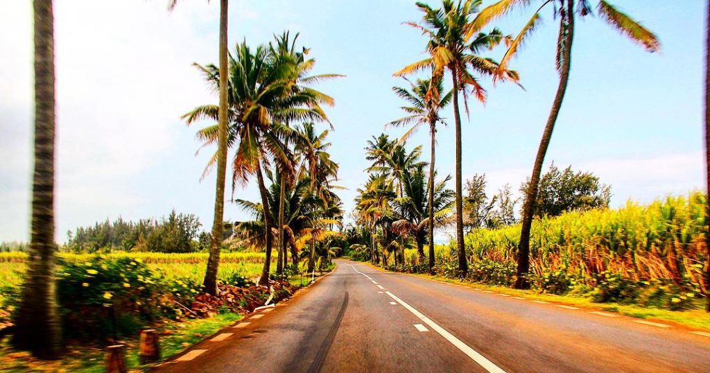 It’s a bit blurry BUT it’s green and I love that road . .&hellip;