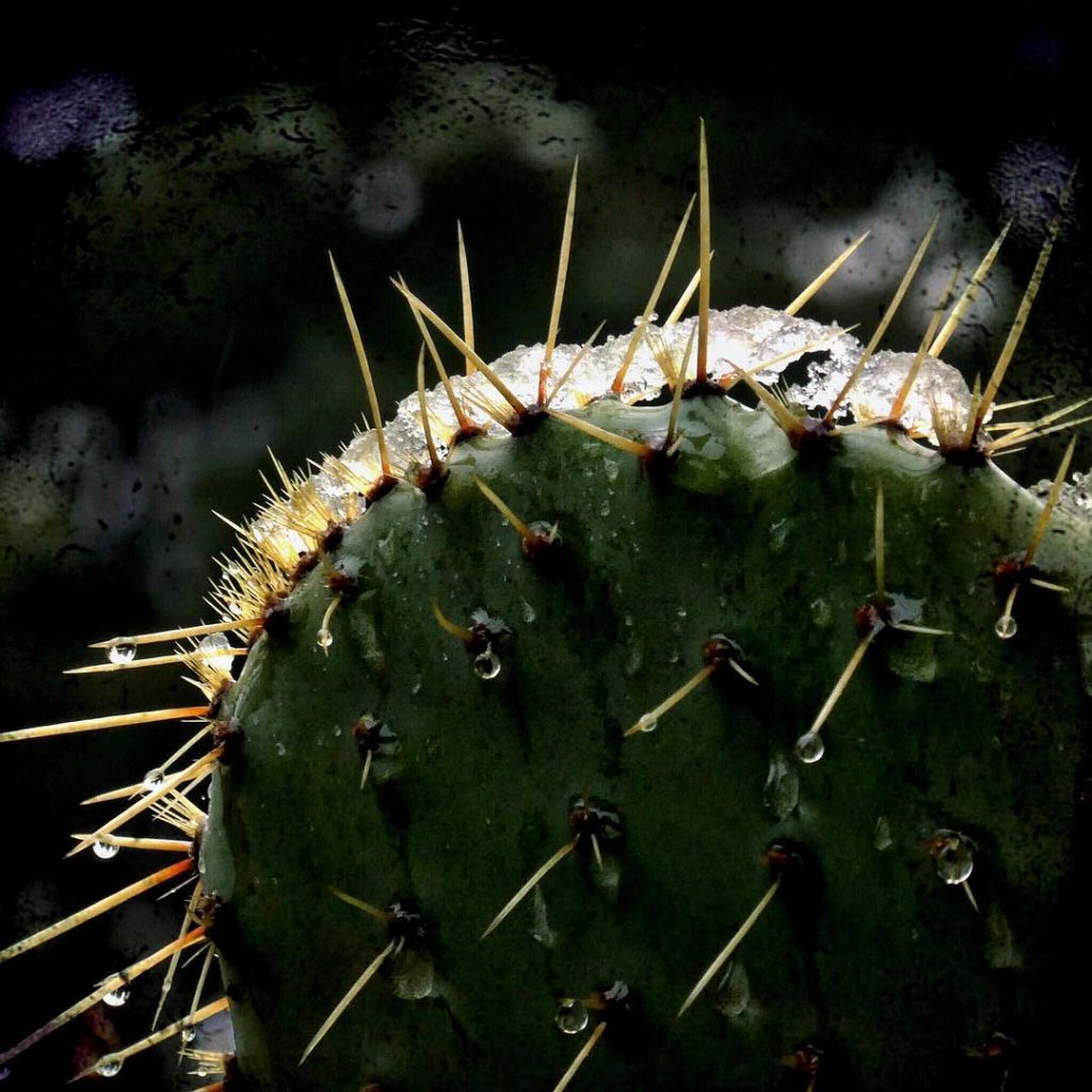 #fotoartistiche #bnesimppl #pierluigizag #fotartplgz Edited with: @carbonblackandwhite _ #weather #skylovers #natureporn #amazing #skypainters #gf_daily&hellip;