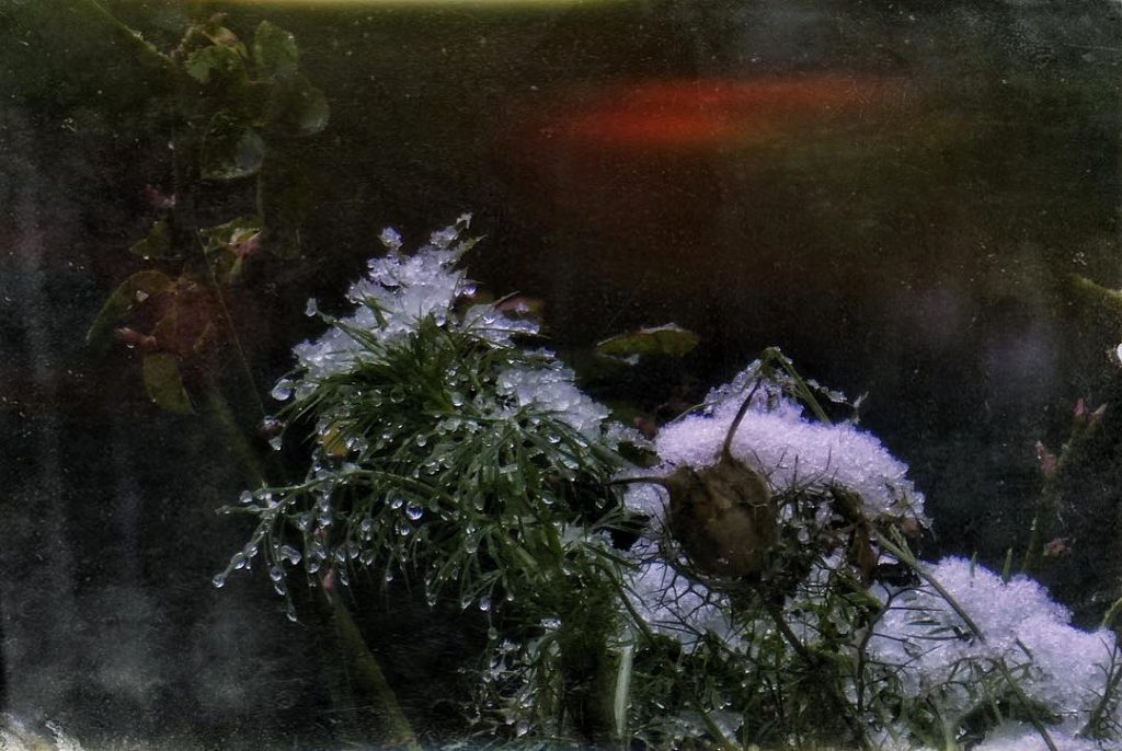 #fotoartistiche #bnesimppl #fotartplgz #pierluigizag Edited with: @carbonblackandwhite _ #weather #skylovers #natureporn #amazing #skypainters #gf_daily&hellip;