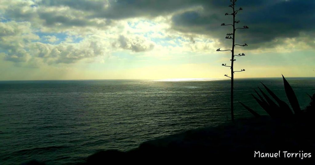 #barcelona #fotourbana #barceloneando #barcelonacity #barcellona #barcelona_imatges #barcelona_turisme_ #barcelonamola #barcelonaphotographer #barcelonaphoto #barcelonagram #instagramphoto #instagramphotos #instagram&hellip;