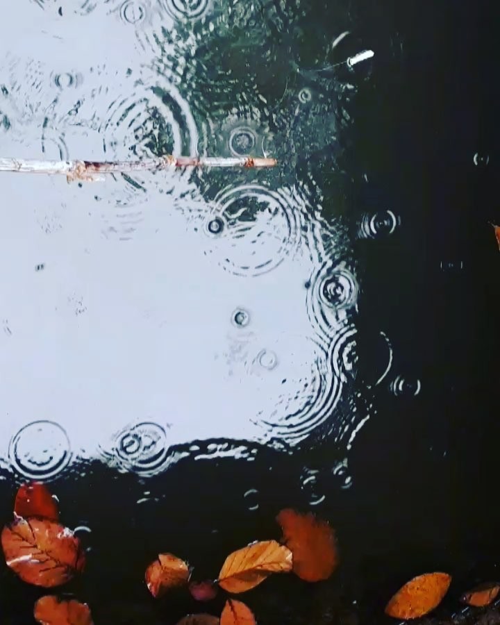 Fishing at the farmhouse. Find out more on our official website. Link in bio.&hellip;