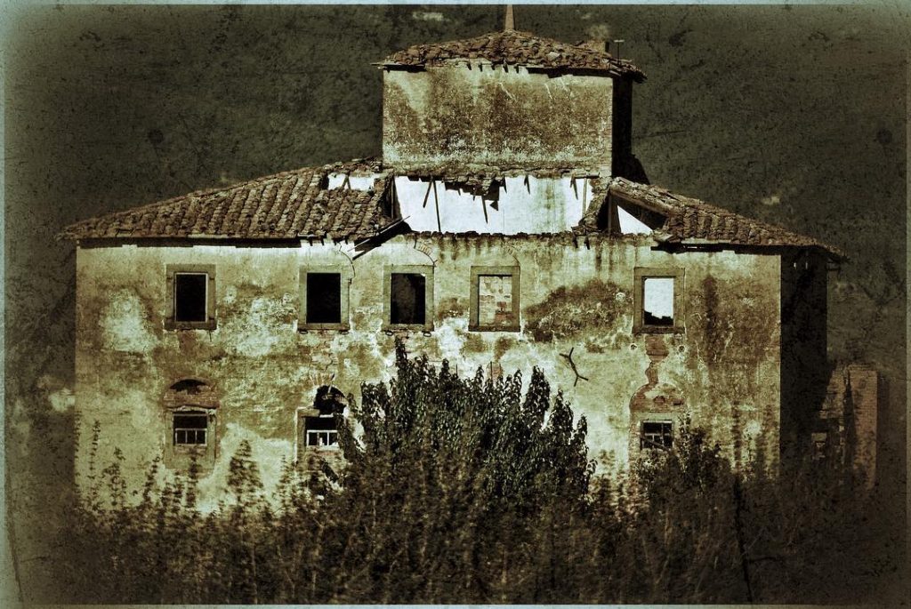 #fotoartistiche #bnesimppl #fotartplgz #pierluigizag #valdichiana Edited with: @carbonblackandwhite _ #landscape #amazing #view #trip #tree&hellip;