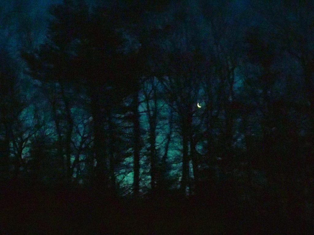 I took maaaaaaultiple shots from a moving car to get his glimpse ???? @6:22AM&hellip;