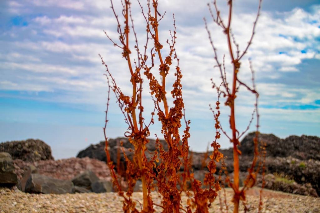 “Be brave enough to heal yourself even when it hurts. Most of your strength&hellip;