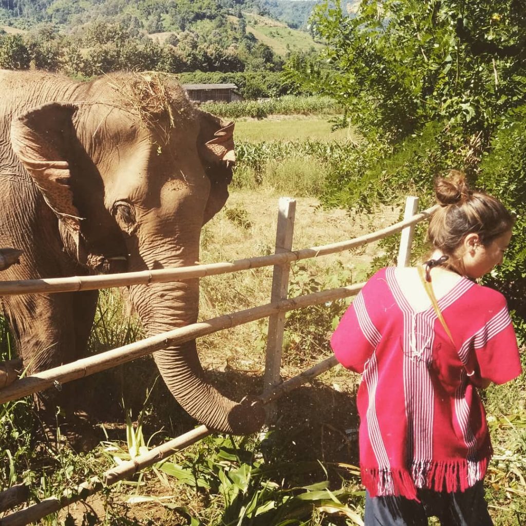 Qué bonita experiencia es poder conocer a los Elefantes en un lugar libre de&hellip;