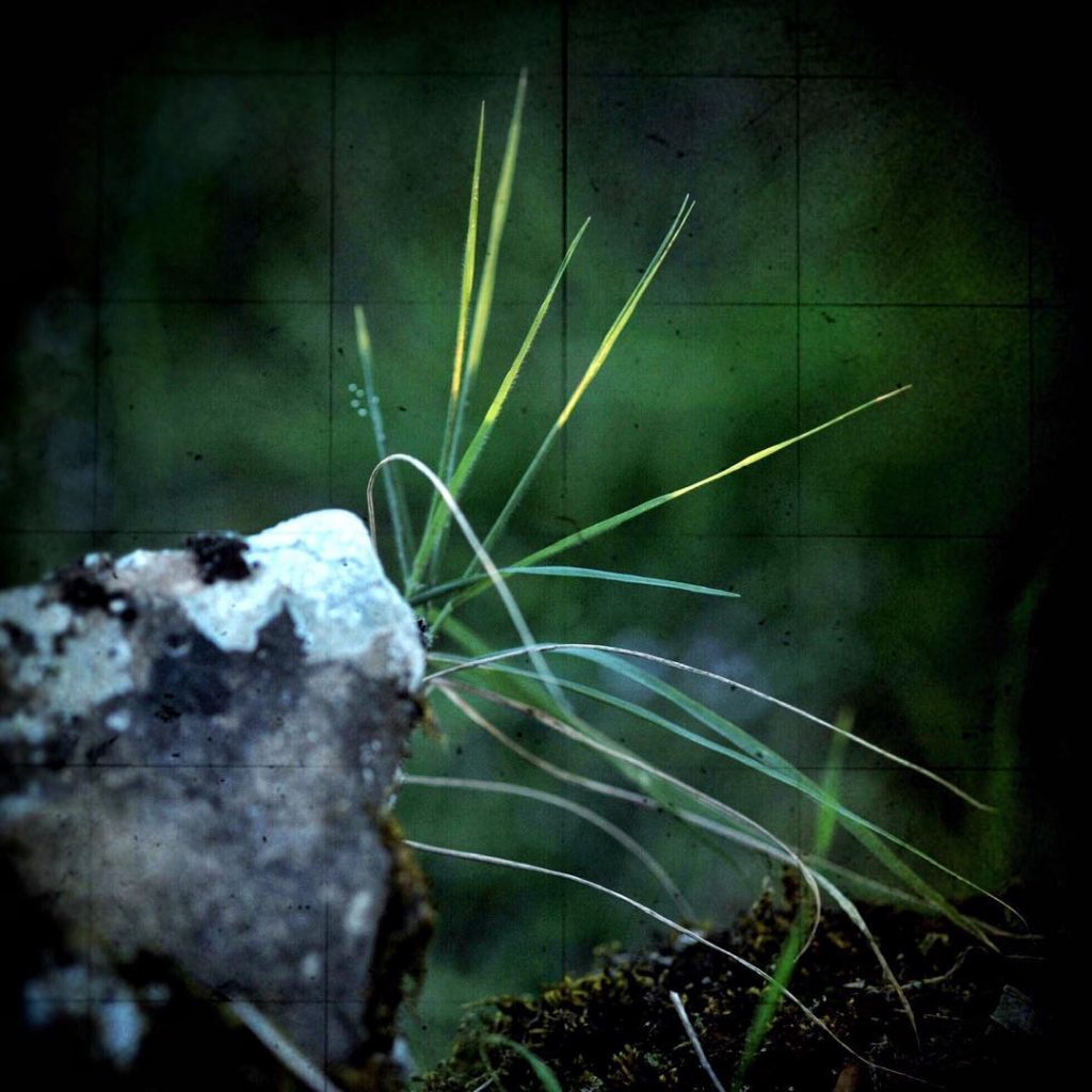 #pierluigizag #fotoartistiche #bnesimppl #fotartplgz Edited with: @carbonblackandwhite _ #weather #skylovers #natureporn #amazing #skypainters #gf_daily&hellip;