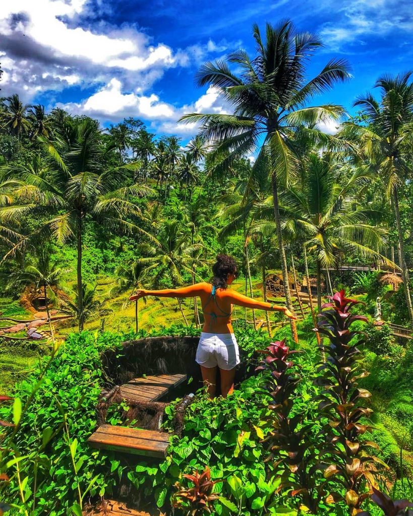 Meet Me Under The Palm #instagram #bali #indonesia #rise #riseterrace #ubud #balitravel #visitbali #travel&hellip;