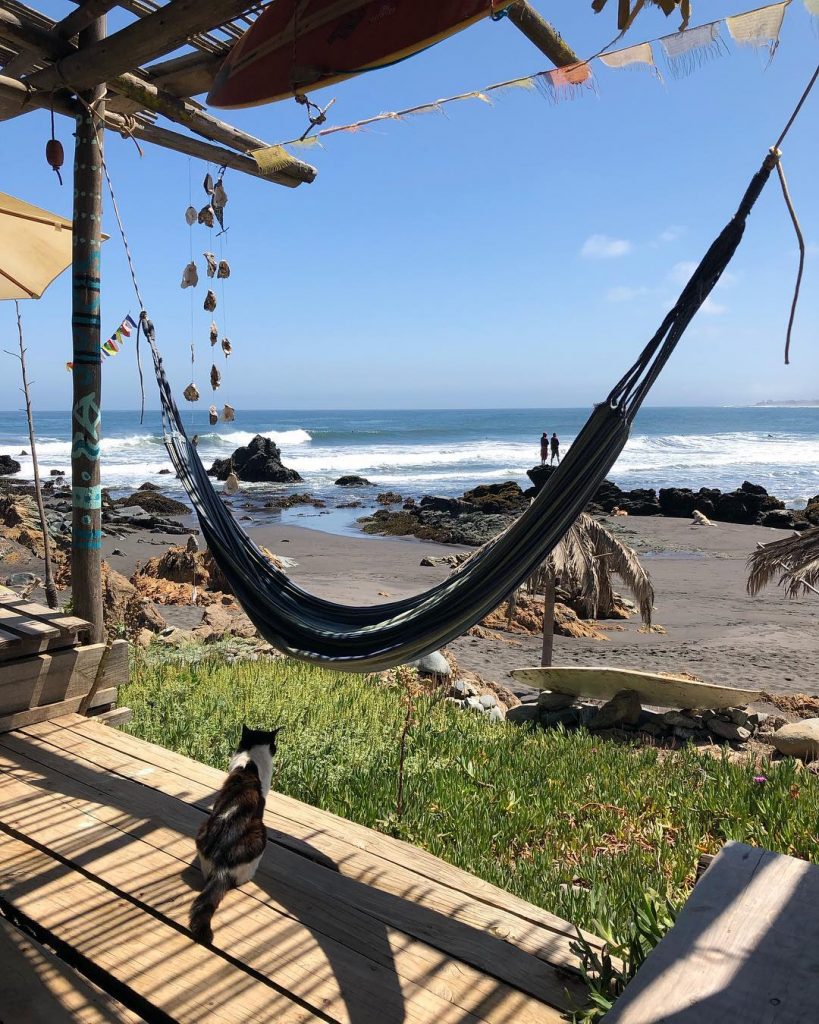 Surf guard! . . #cat #guard #surfing #puntadelobos #pichilemu #surf #beach #beachlife #view #wine&hellip;