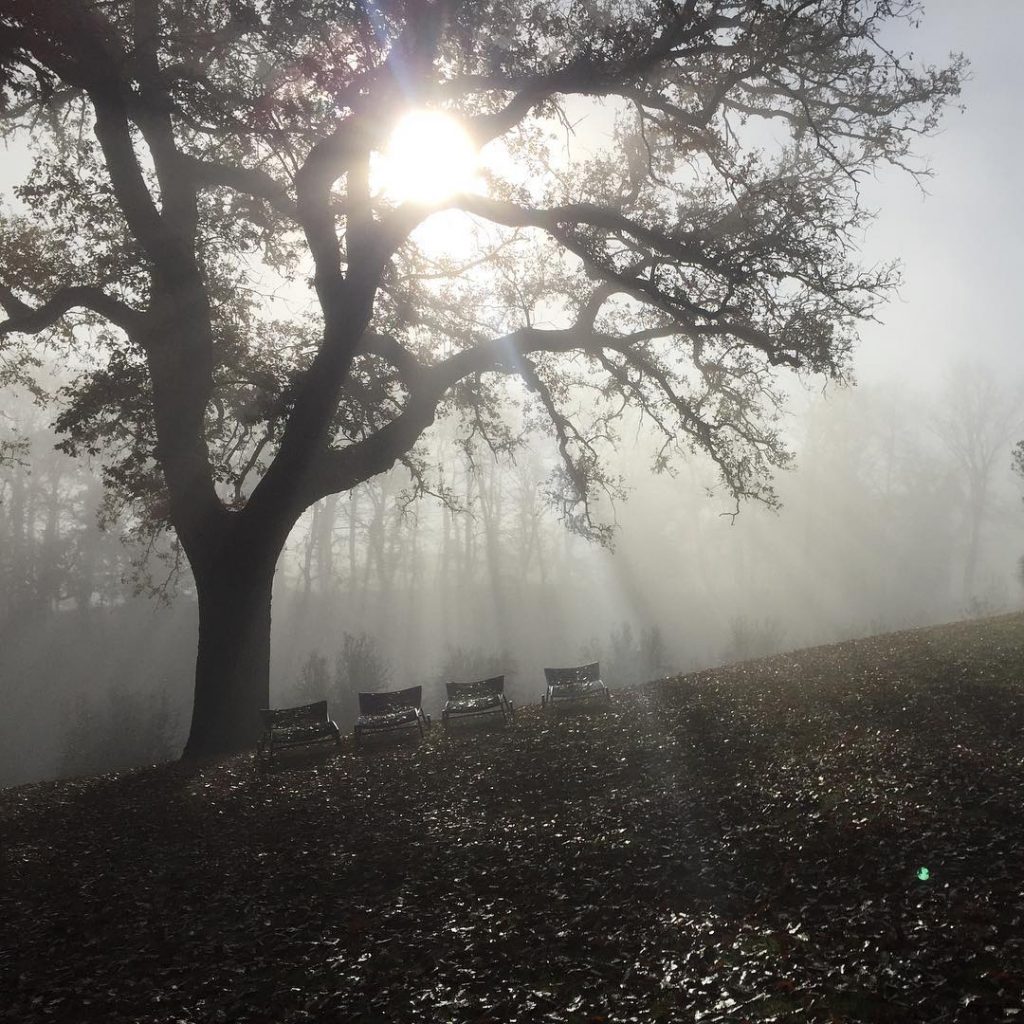 #voglioviverecosi #toscana #italia #wine #myworld #relax #tuscany #lavitaebella #travel #travelbug #silence #winetrip #myitaly #winestagram&hellip;