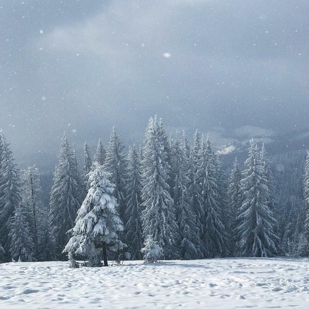 This is literally a raw photo, no filters at all but it looks just…