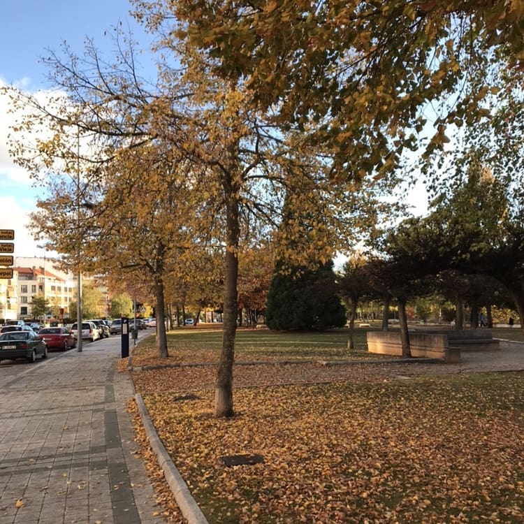#photography #photo #google #googlelocalguides #video #travelphoto #travelgram #instagramers #travelblogger #travelphotography #palencia #palenciadiferente #palenciamola #natgeo&hellip;