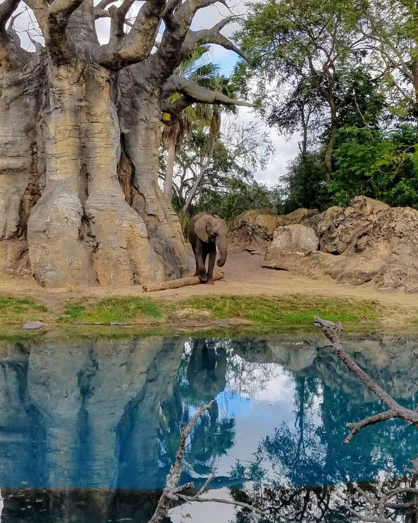 One of my favorite photos! This is why I love seeing the world. #MoRichMoments