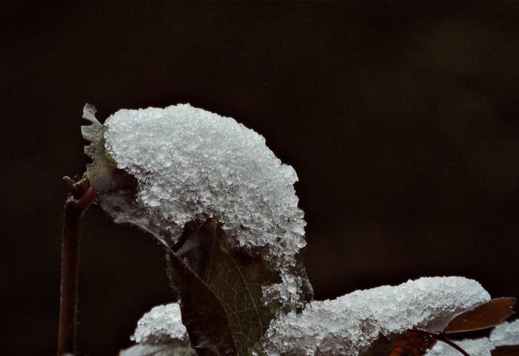 #fotoartistiche #bnesimppl #fotartplgz #pierluigizag Edited with: @carbonblackandwhite _ #weather #skylovers #natureporn #amazing #skypainters #gf_daily&hellip;