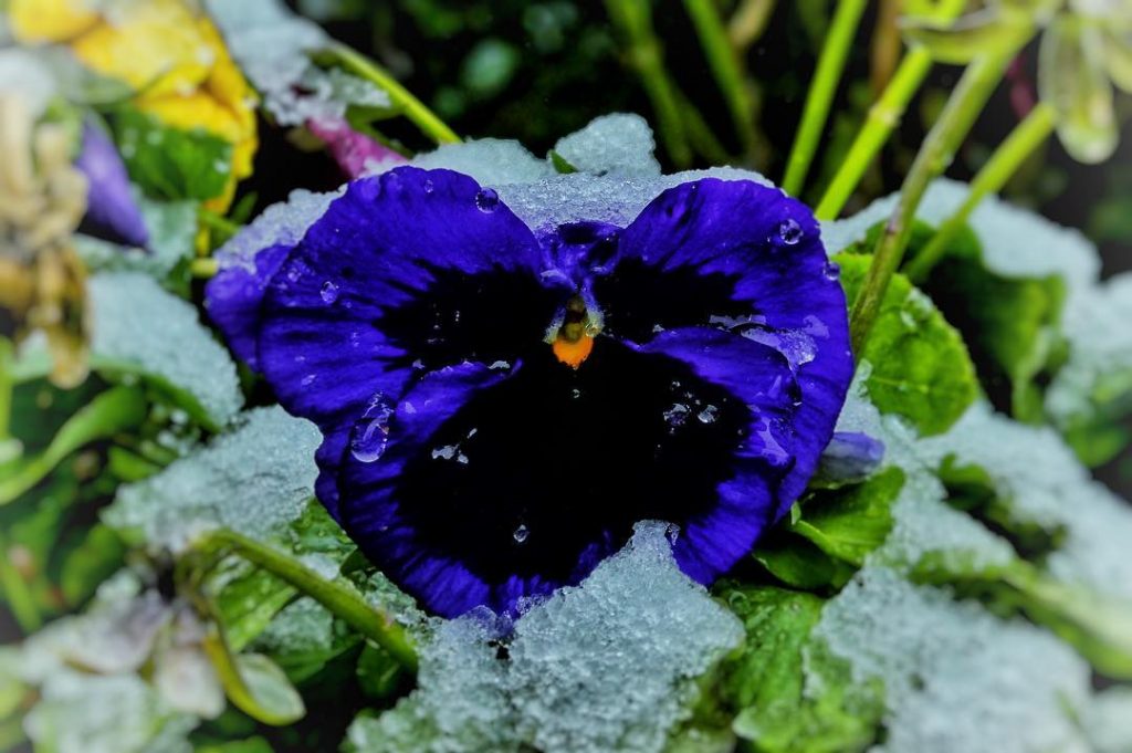 #fotoartistiche #bnesimppl #fotartplgz #pierluigizag Edited with: @carbonblackandwhite _ #weather #skylovers #natureporn #amazing #skypainters #gf_daily&hellip;