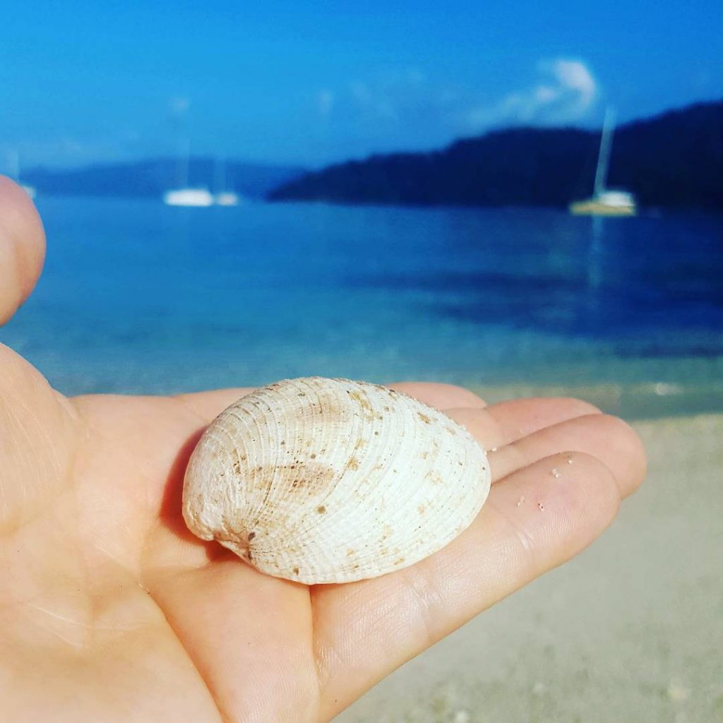 Koh Lor-Kloy #kohlorkloy #boattrip #snorkeling #whitebeach #beach #bluewater #boat #island #sun #sunny #palmtree #thailand…