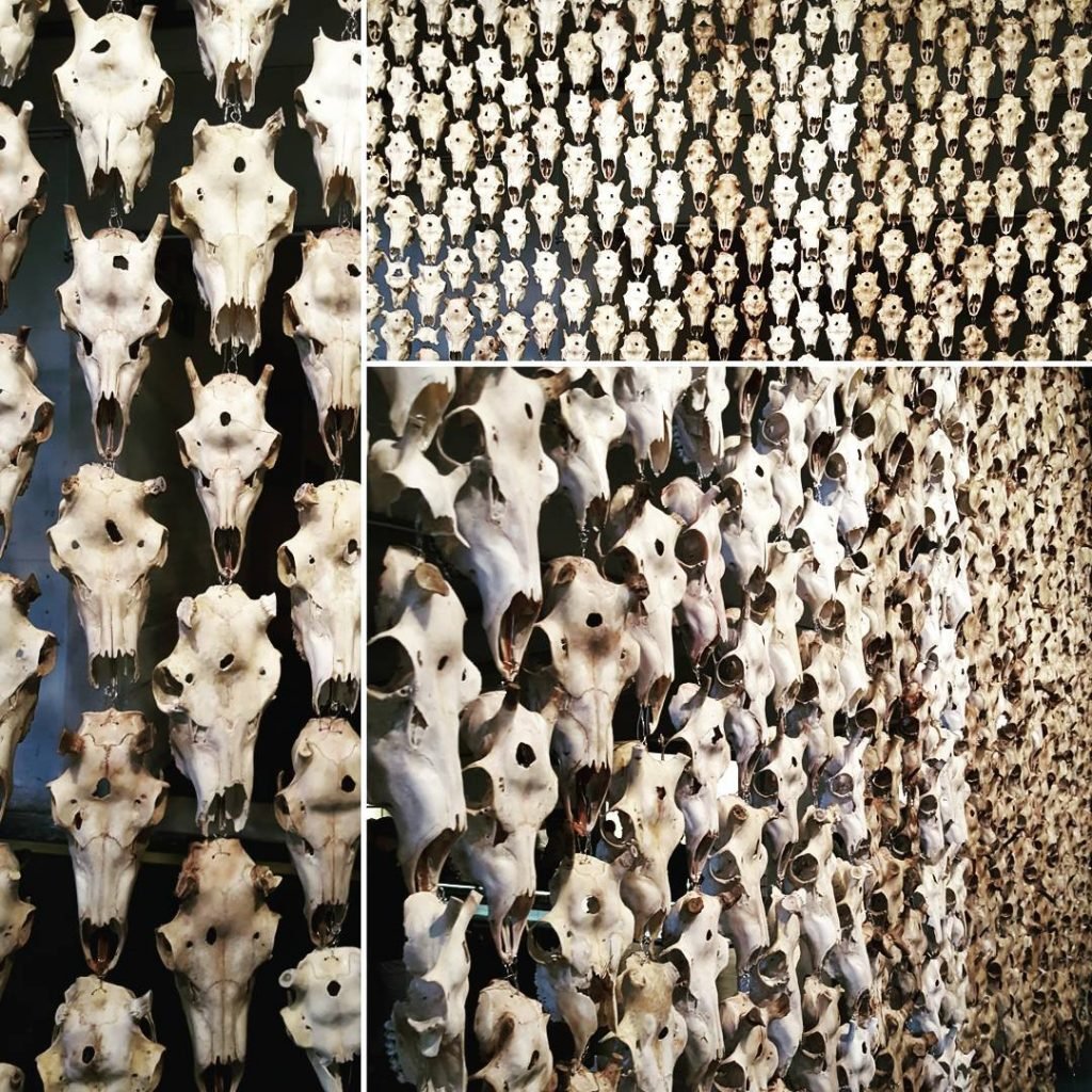 #kassel #ducumenta #documenta14 #art #artwork #artfestival #kunst #inspired #plastic #culture #city #travel #reisen #holiday…