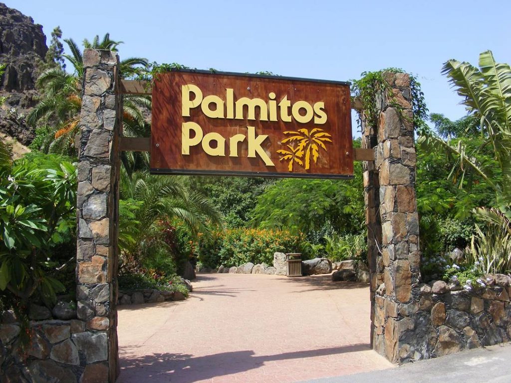 Lets go to the zoo #grancanaria #spain #canaryislands #maspalomas #zoo #palmitospark #sun #sunny #cuöture…