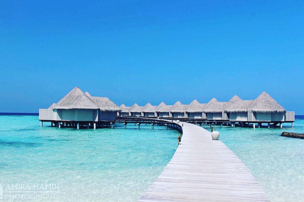 Little paradise #maldives #drifttheluveliga @driftretreat #travelphotography #travel #traveling #travelgram #followback #f4f #followforfollow