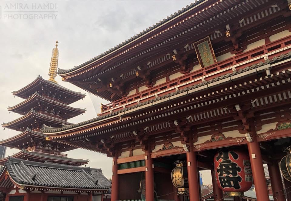 Hi im back from my autumn trip in Japan ???????? 2nd time in Japan…