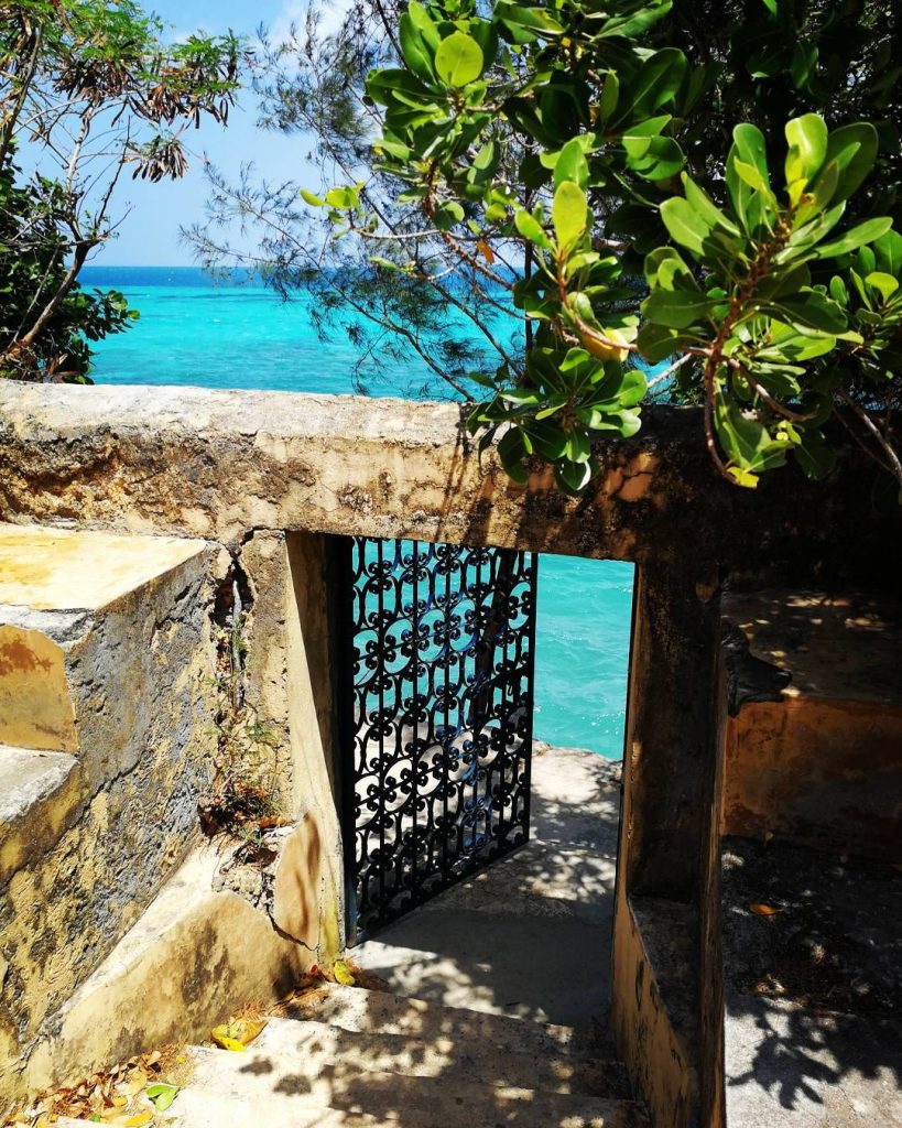 “you never know which door will lead you towards your dreams, until you have…