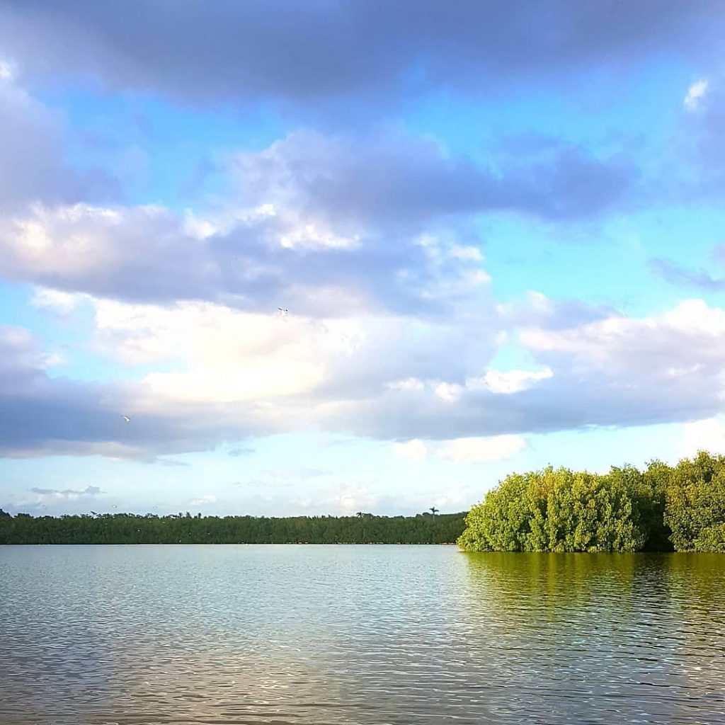Evening in Laguna de Guanaroca, Cienfuegos, Cuba #kuba #cuba #urlaub #travel #holiday #sun #enjoyyourlife…