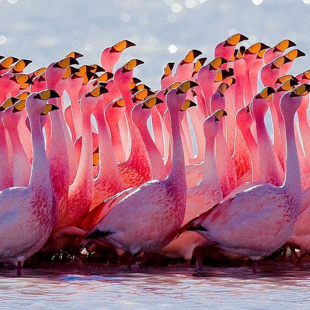 Laguna de Guanaroca, Cienfuegos, Cuba #kuba #cuba #urlaub #travel #holiday #sun #enjoyyourlife #travelphotography #trip&hellip;