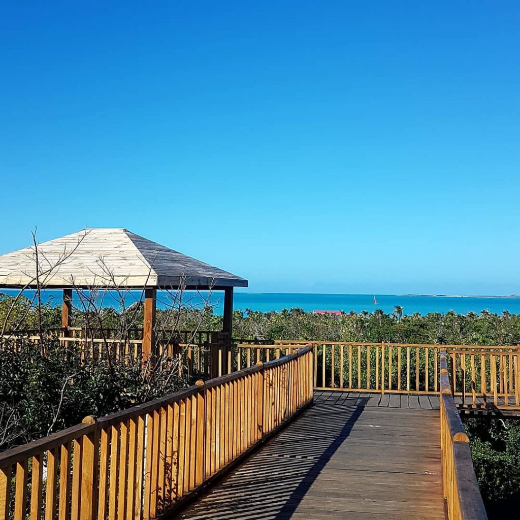 #kuba #cuba #cayosantamaria #urlaub #travel #reisen #holiday #sun #sunny #city #happy #travelphotography #golfvonmexiko #trip…
