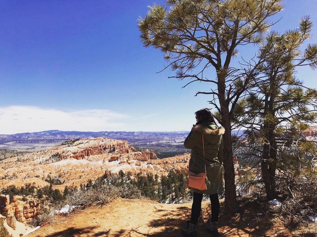 Contemplating nature ???????? #brycecanyon #brycecanyonnationalpark #usa #nature #wildlife #wildlifephotography #borntobewild #sky #colors #travel #trip&hellip;