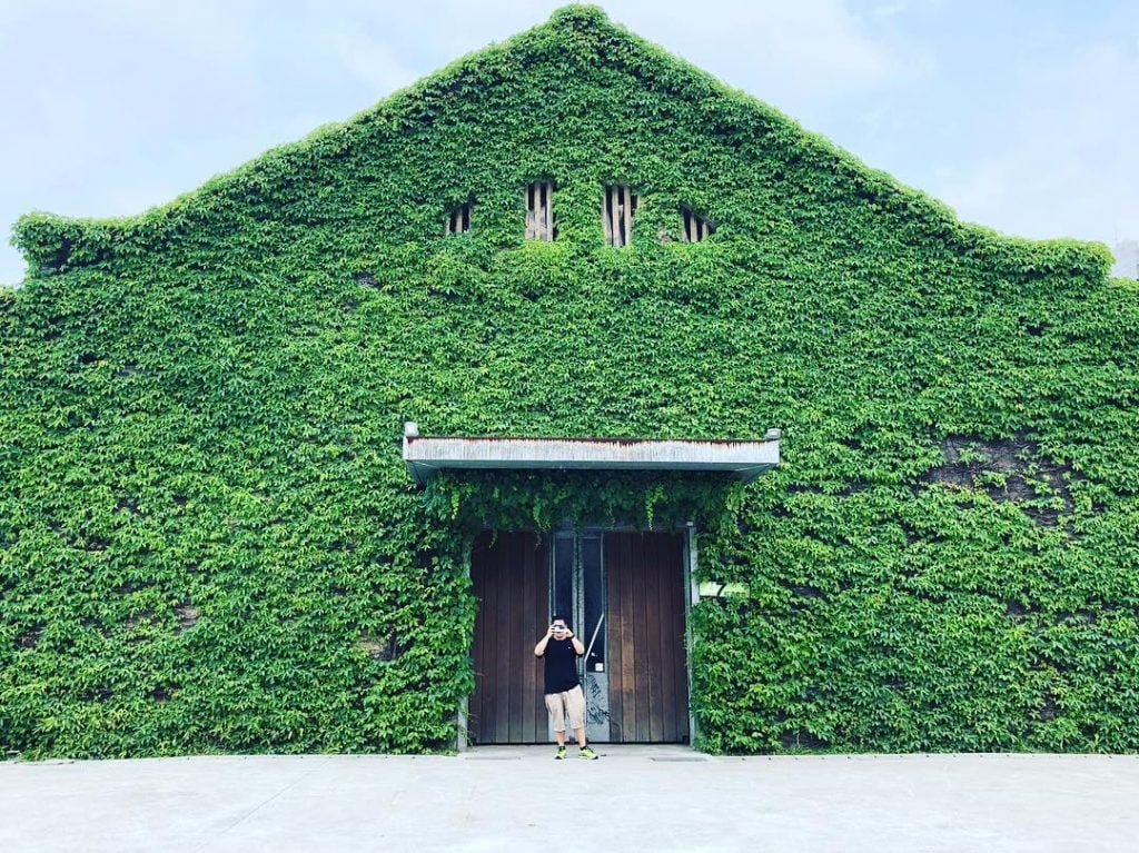 Seeing green in Taipei ???????? #Taipei #Taiwan #creativepark